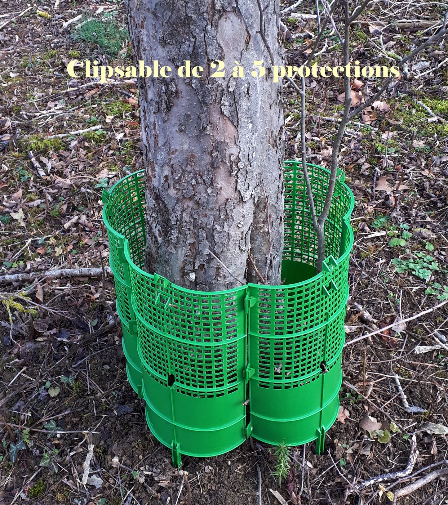 Protection de plant