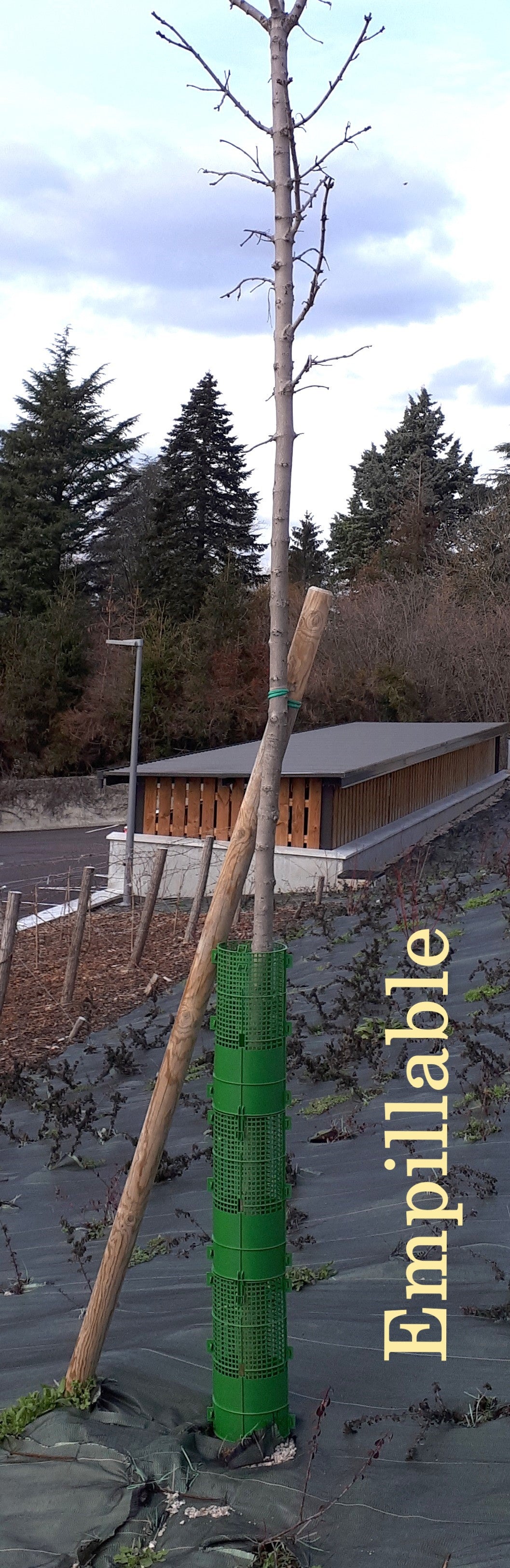 Protection de plant