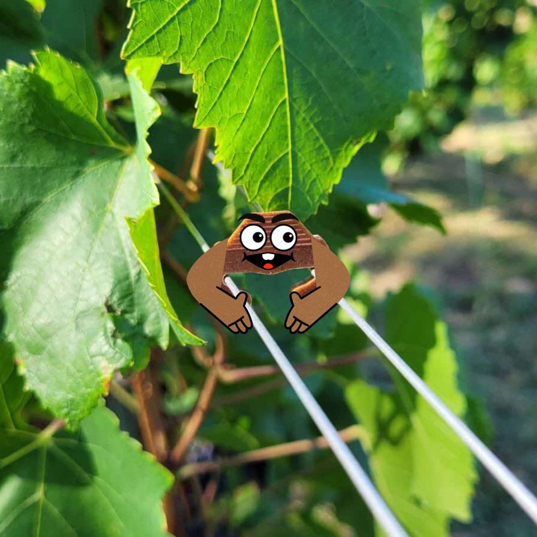 SYLBIOC L'agrafe Biosourcée et Biodégradable, 100% d'origine végétale, Maïs et Bois du Jura. Résistance neuve : 20 kg.