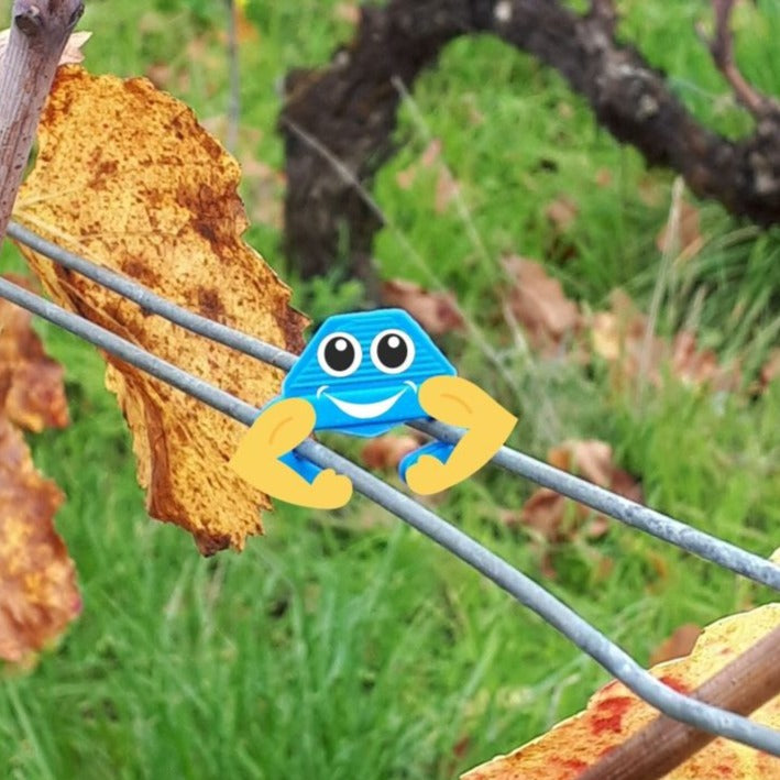 ROC L'agrafe à vigne Réutilisable