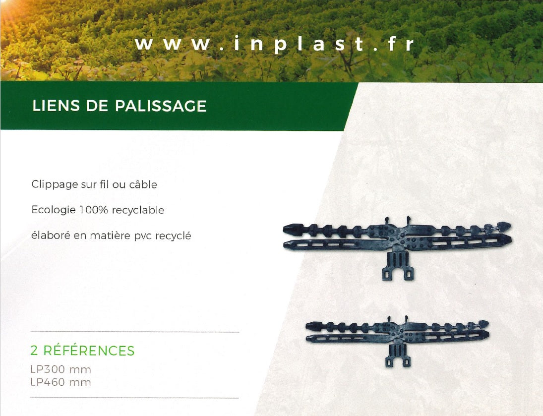Lien de palissage