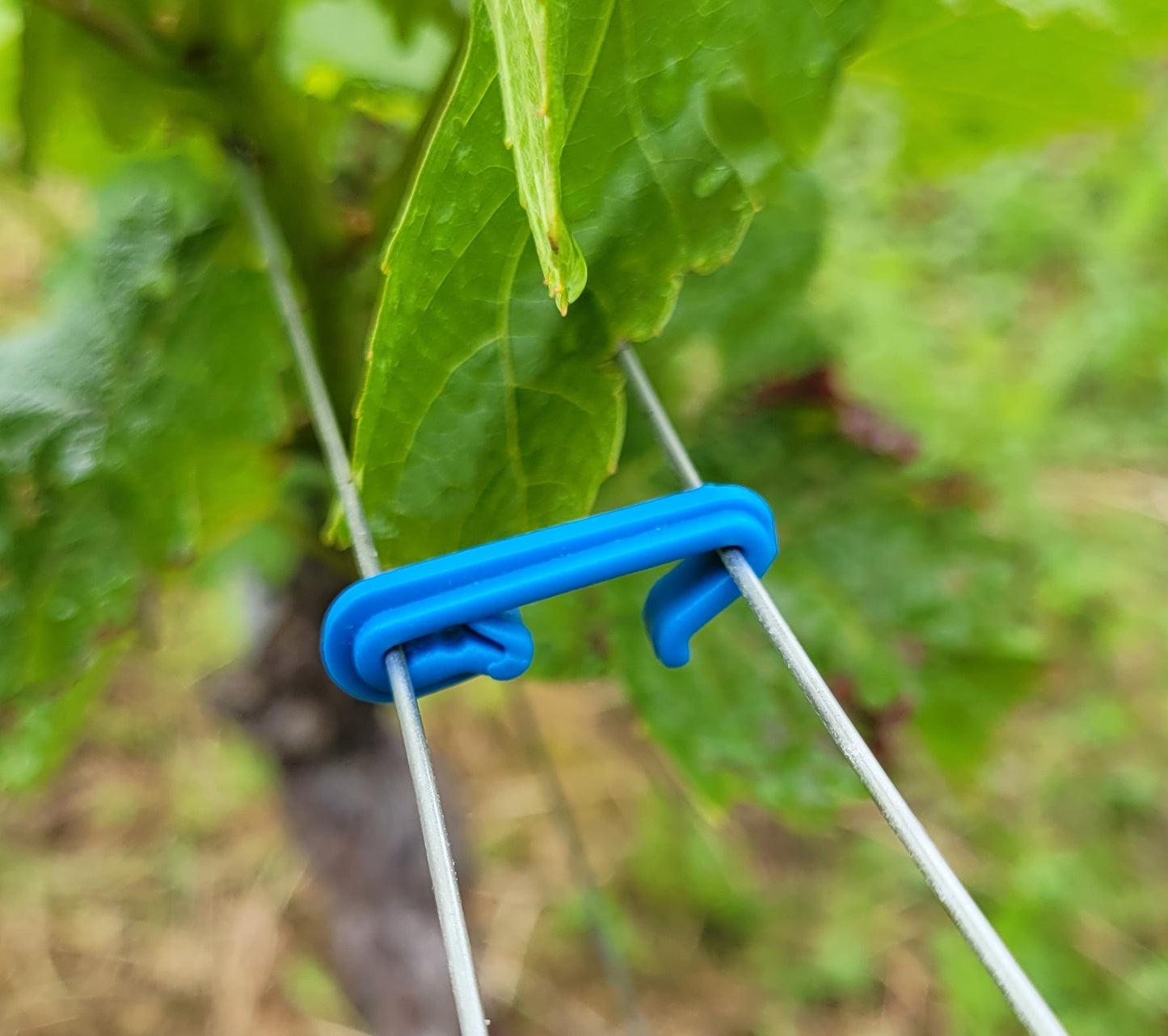 ROCLIP L'agrafe à vigne Clipsable