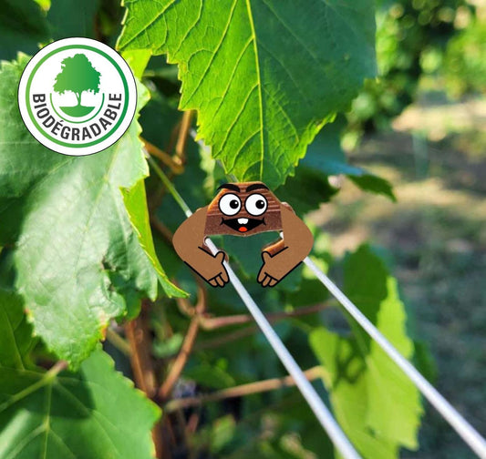 SYLBIOC L'agrafe Biosourcée et Biodégradable, 100% d'origine végétale, Maïs et Bois du Jura. Résistance neuve : 20 kg.