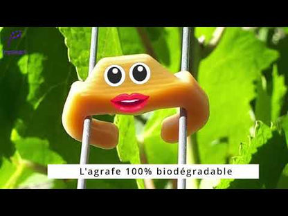 BIOC L'agrafe à vigne Biosourcée et Biodégradable